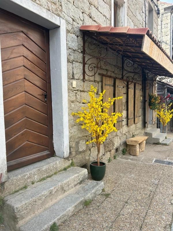 Tres Beau Studio Avec Terrasse Apartment Zonza Exterior photo